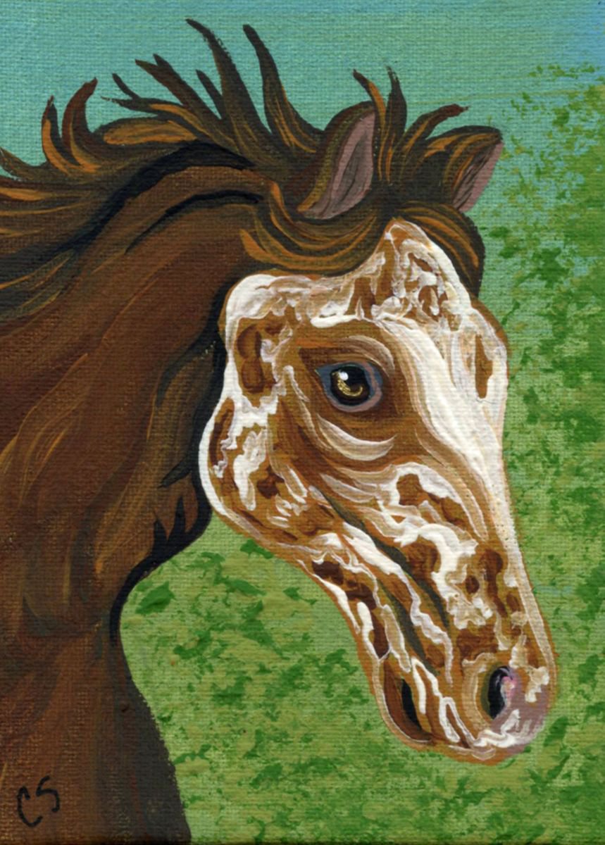 ACEO ATC Original Painting Appaloosa Horse Farmyard Art-Carla Smale by carla smale