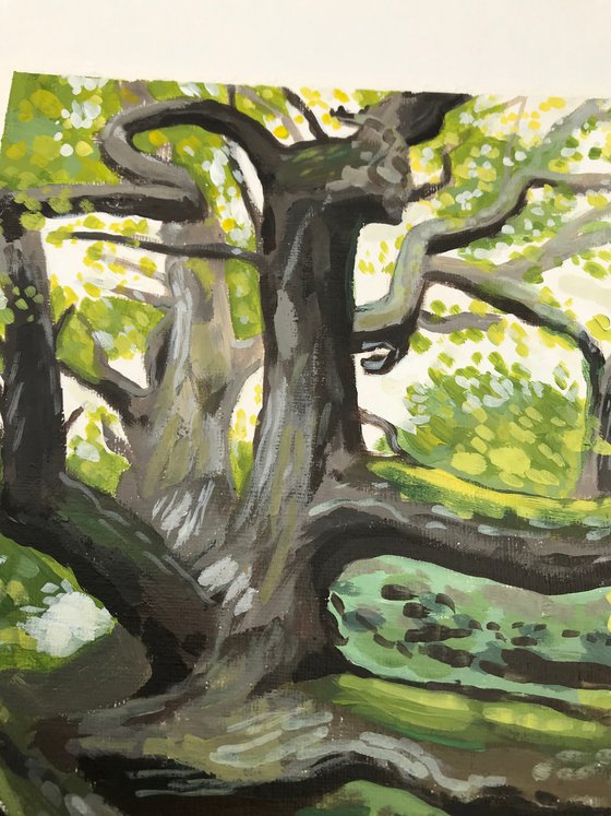 Dragon Tree - 8.4 x 11.8 inch