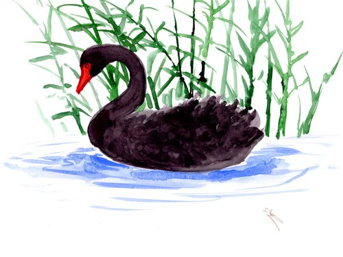 Black Swan by Suren Nersisyan