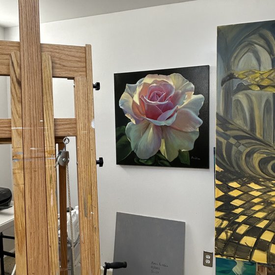 Radiance of the Morning Rose