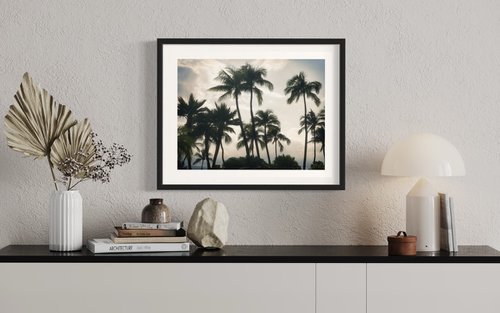 Maui Palms 2.0 by Cutter Cutshaw