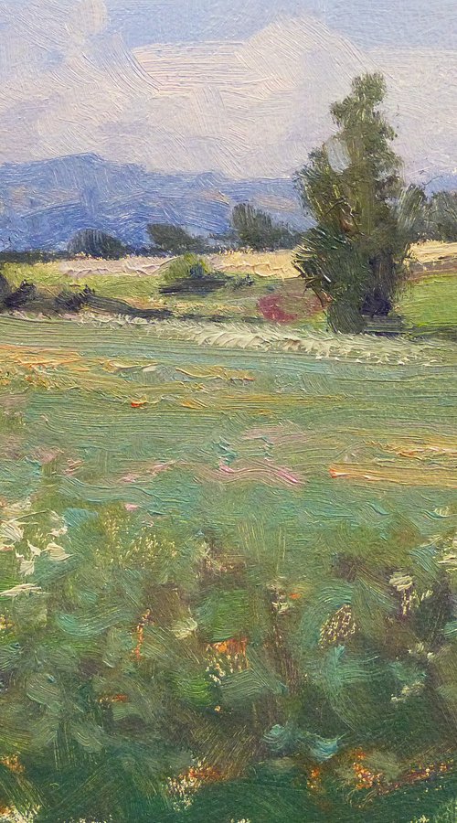 Fields near Mison by Pascal Giroud