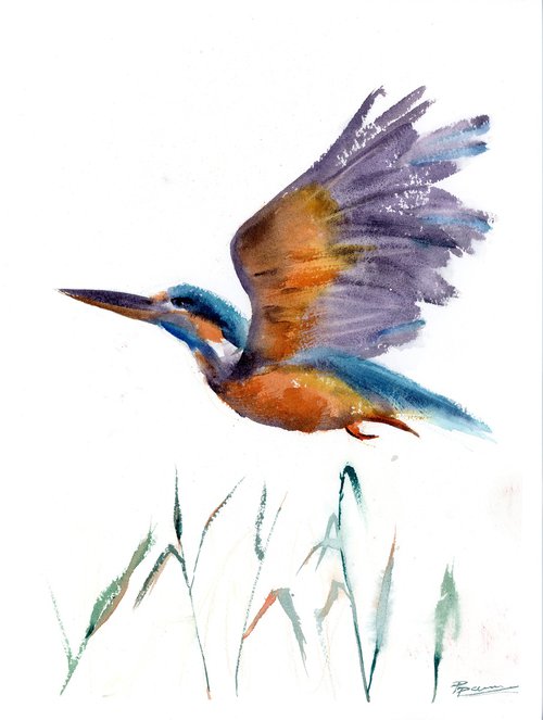 Flying Kingfisher  -  Original Watercolor Painting by Olga Shefranov by Olga Shefranov (Tchefranov)