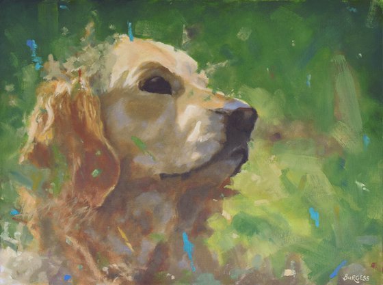 Golden Retriever - Framed Dog Oil Painting On Canvas Board - 48cm x 64cm