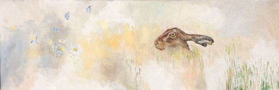 Long Hare