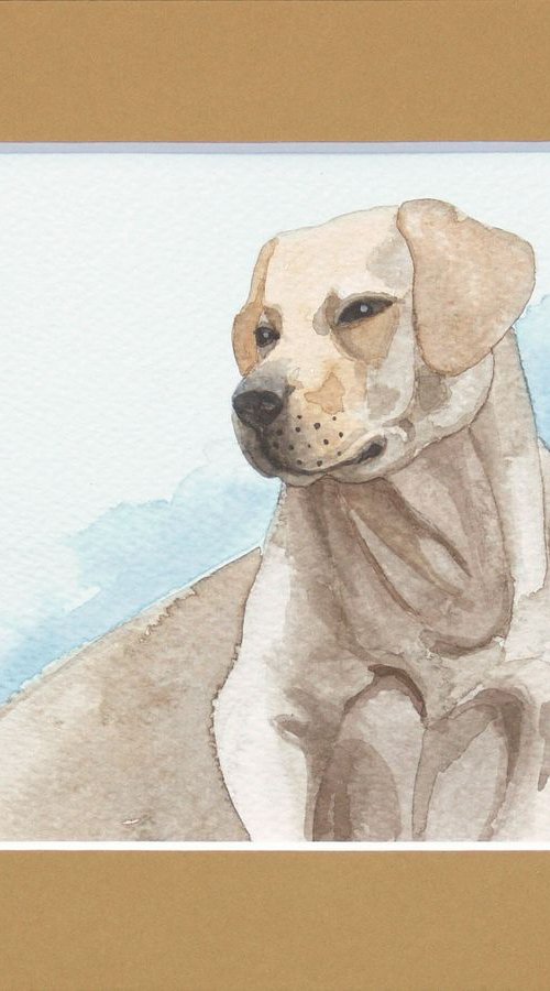 Happy labrador - free shipping by Jolanta Czarnecka