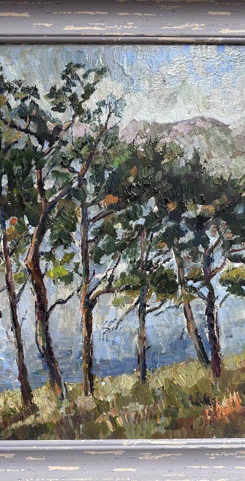 Lisi Lake by Zurab Sharvadze