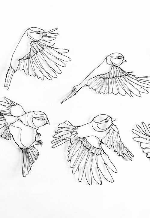 Blue tits in flight by Jane Tilley