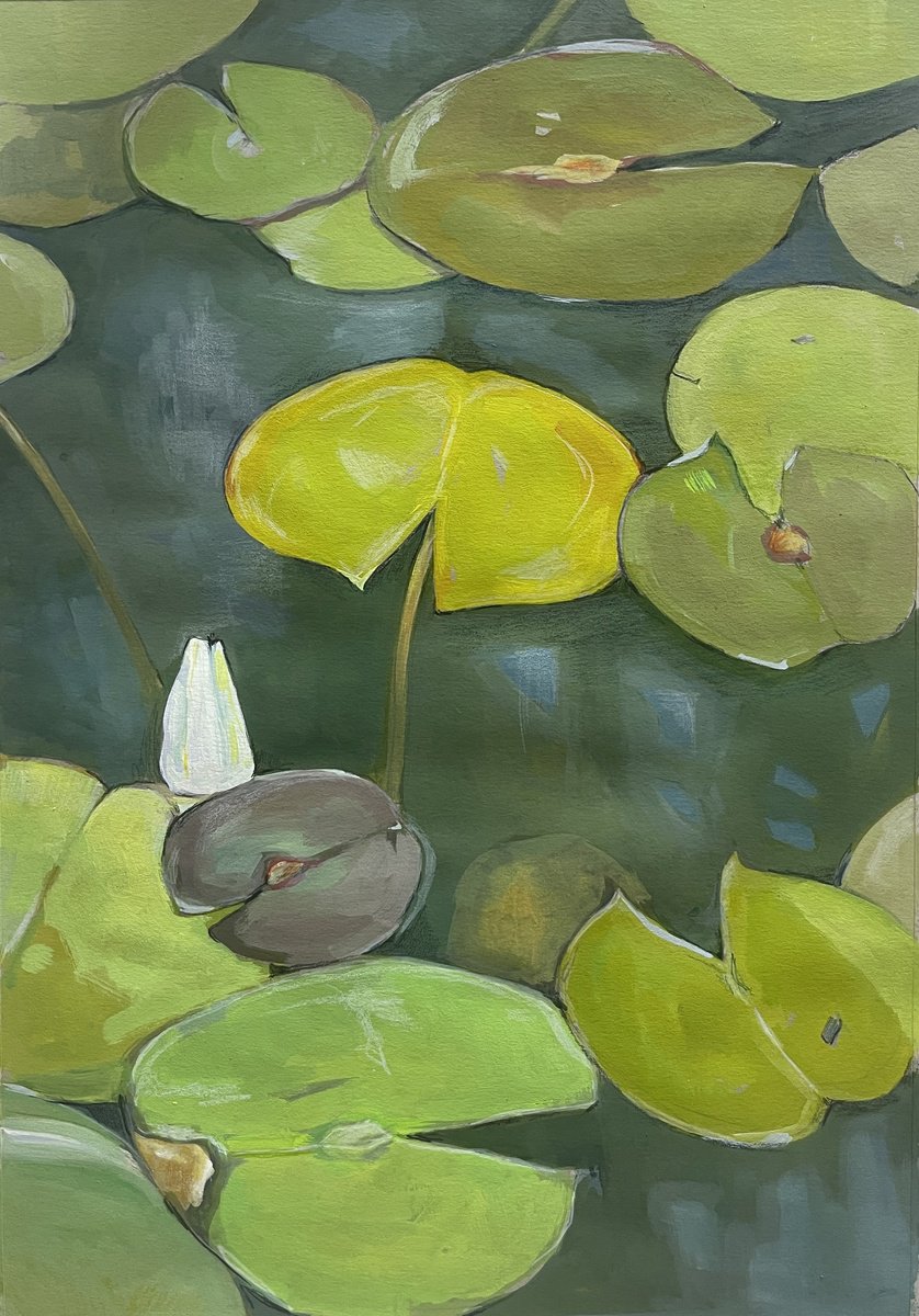 Green pond by Guzel Min