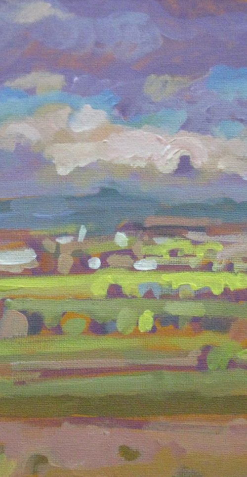 LANDSCAPE (SUMMER 41.) by LENKA STASTNA
