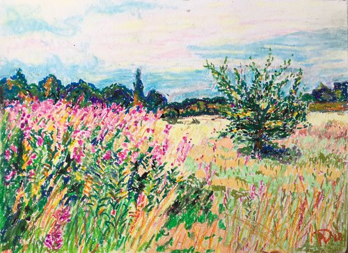 Wild Meadow by Agnes Daniels