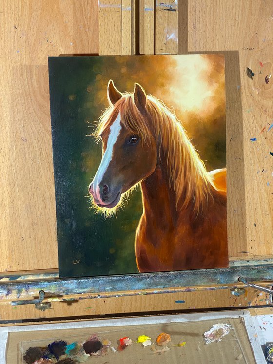 Brown horse portrait at sunset