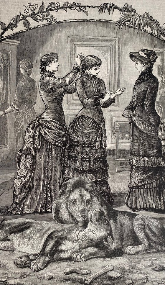 Dressing with the lions