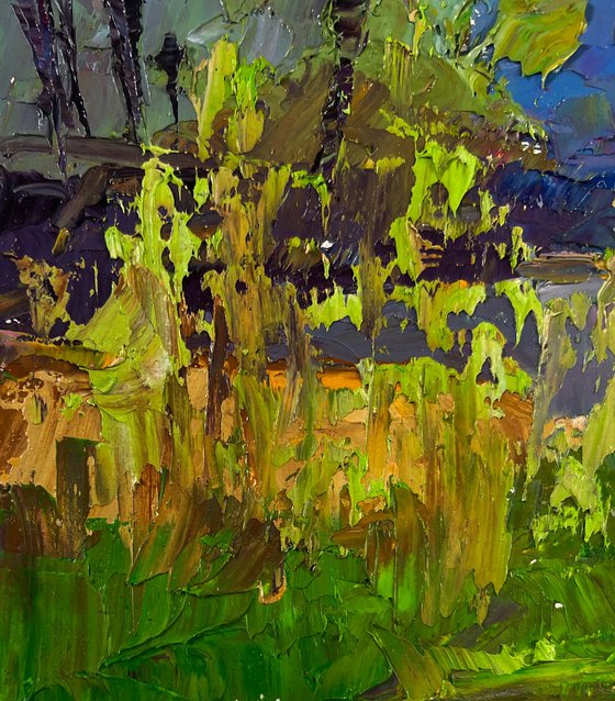 Morning Walk along the River