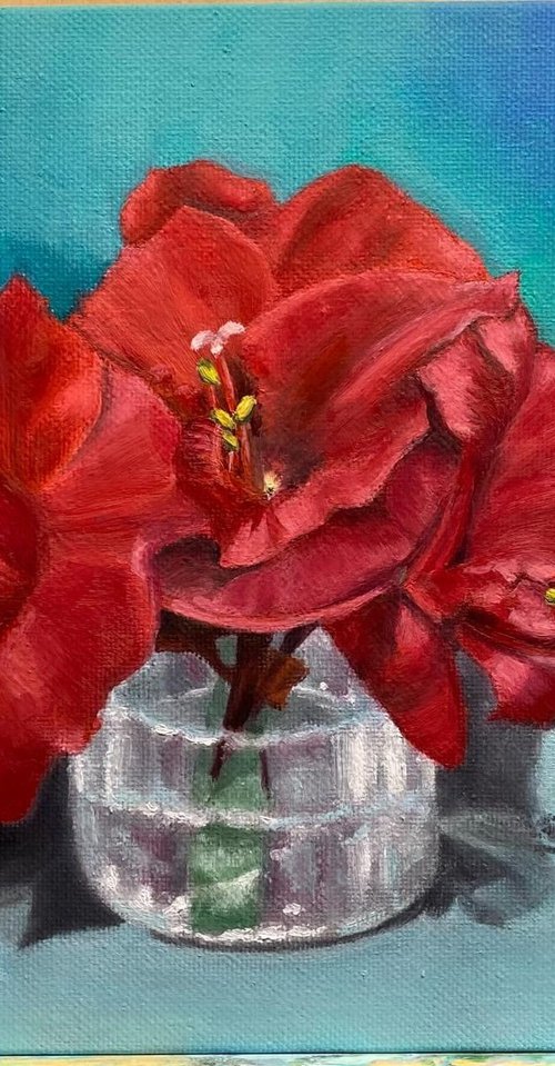Red-Pearl Amaryllis by Julia Tan SH