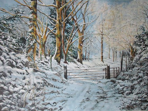 Sun and Snow Near Dalefold Farm Poynton by Max Aitken