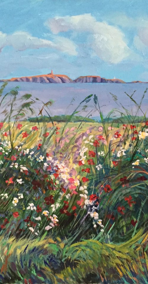 'The Isle of May seen from Fife, with glorious Wildflowers' by Stephen Howard Harrison