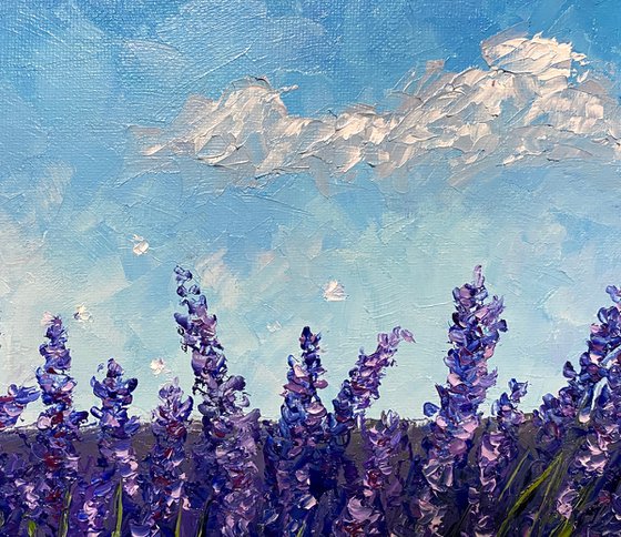 Lavender field