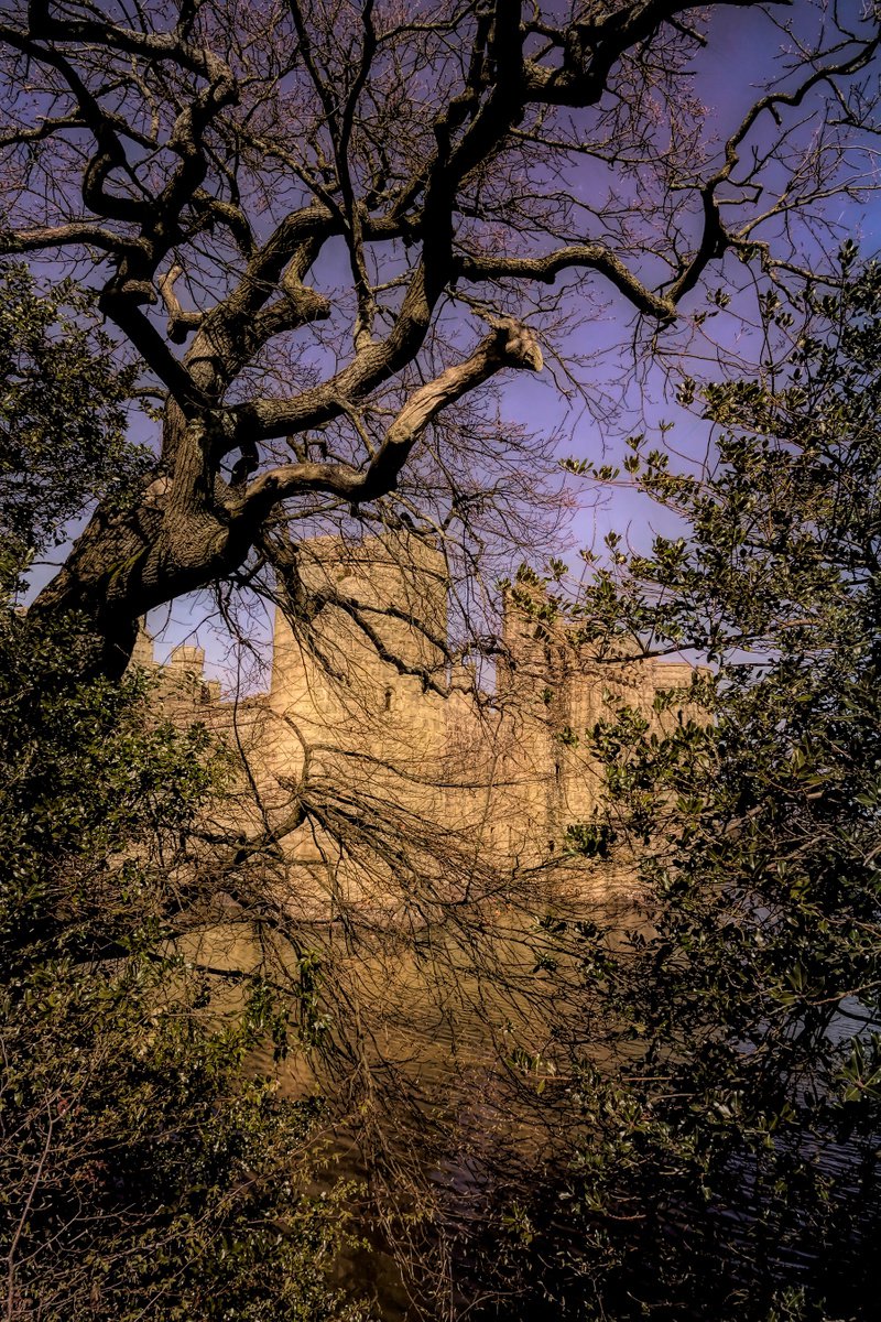 Bodium Castle through the Trees by Martin Fry