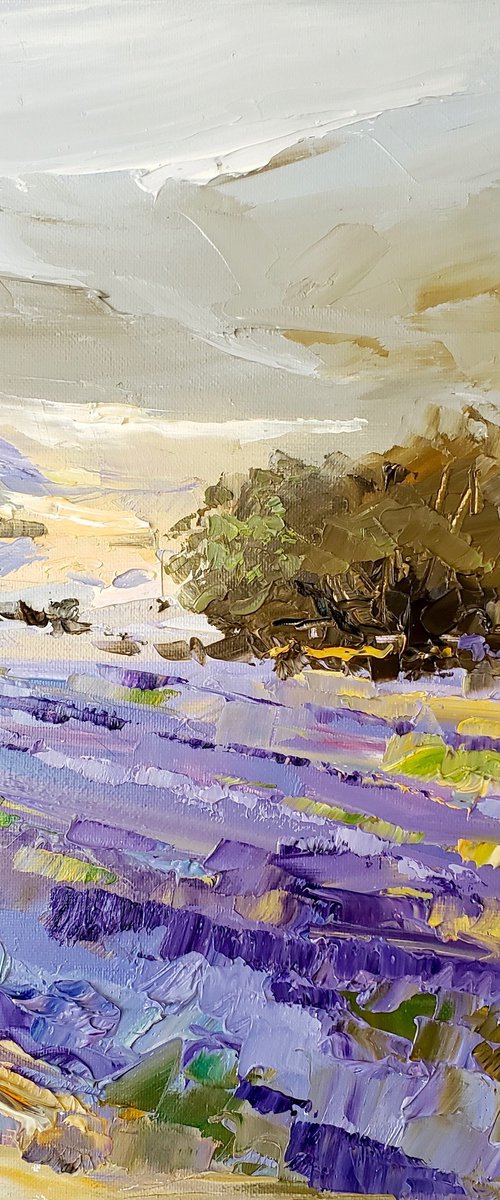 LAVENDER SPRING by Irina Alexandrina