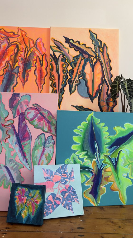 Alocasia Study II