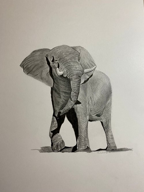 Elephant no. 2 by Maxine Taylor