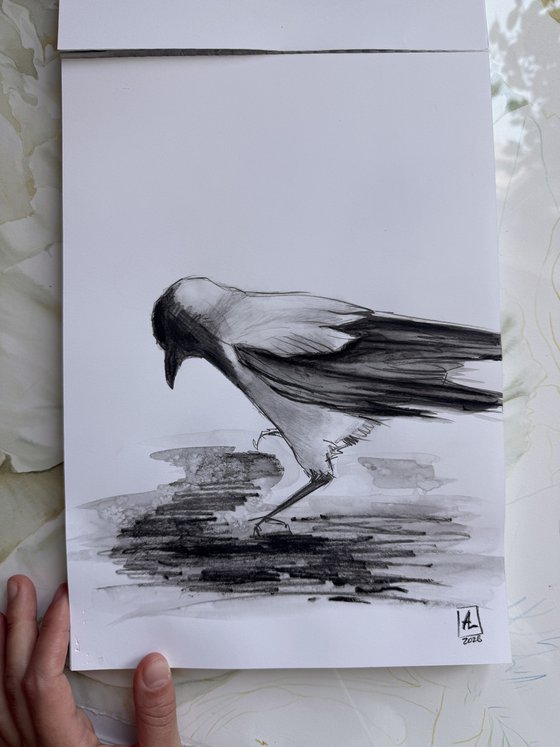 One Crow Adventures I