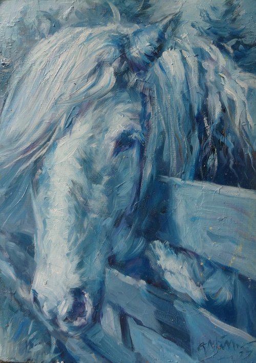 "Horse in Blue.". Oil painting on cardboard.27x38cm by Gerry Miller
