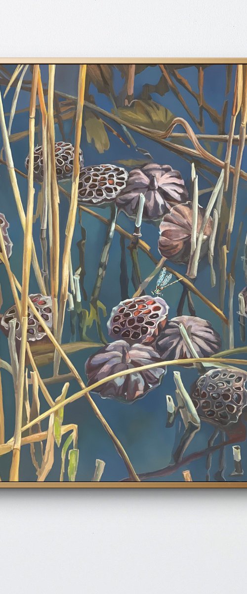 Lotus pond.Pods by Guzel Min