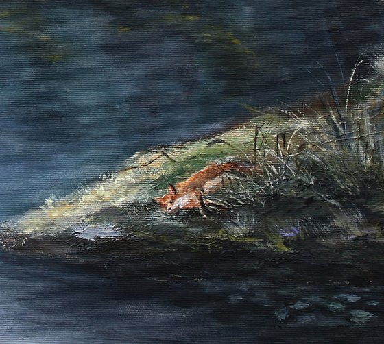 Forest Awakening