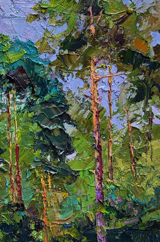 Along the Forest Path