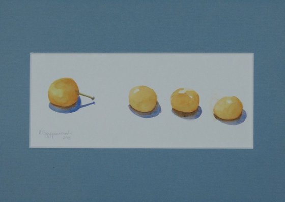 Four Mirabelles in a line