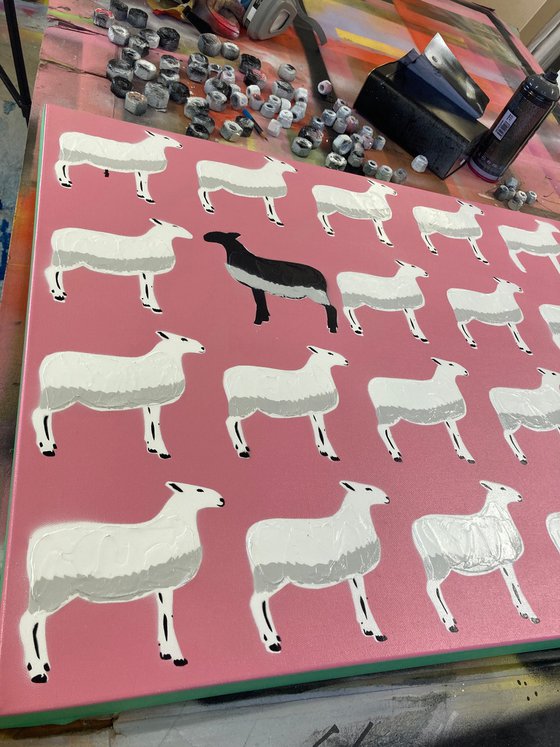 The Black Sheep - Pink 61cm x 61cm