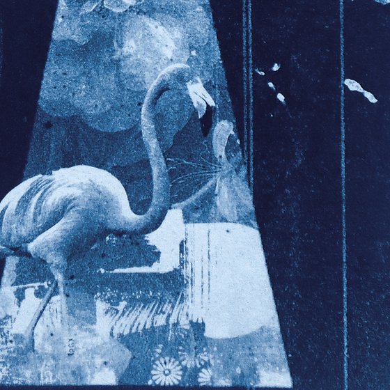 Cyanotype_11_A4_Paradise