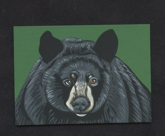 ACEO ATC Original Miniature Painting Black Bear Wildlife Art-Carla Smale