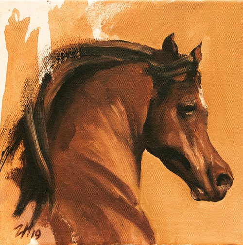 Equine Head Arab Chestnut (study 7) by Zil Hoque