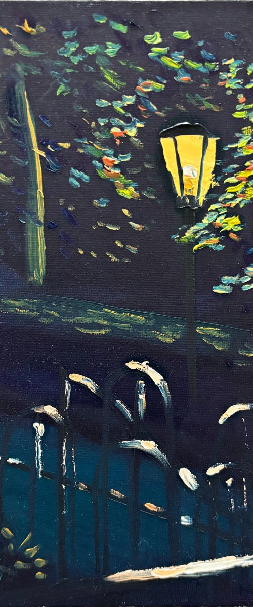 Lamplight in the Park by Dmitry Fedorov