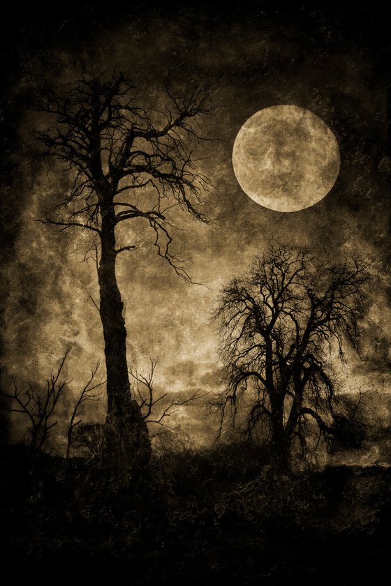 The Trees and Moon