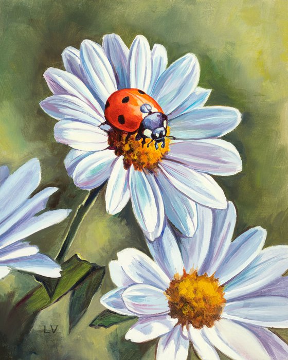 Ladybug on white daisy flowers