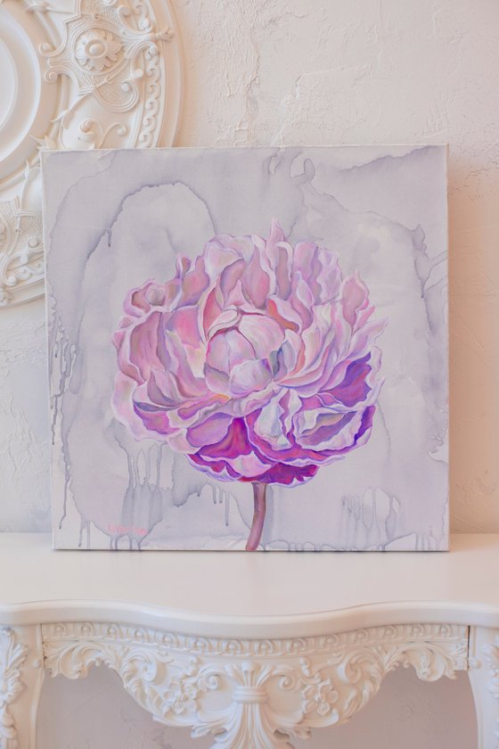 Pink peony on gray