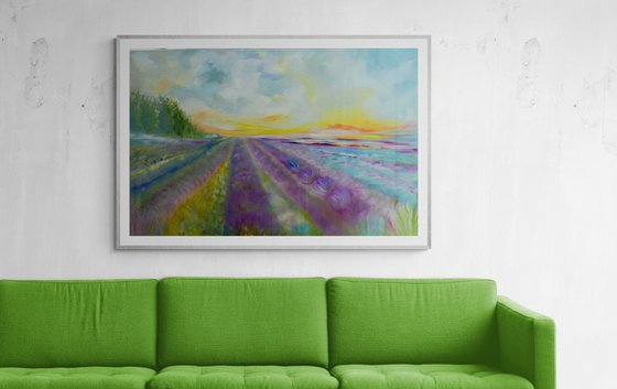 Lavender Fields 2026