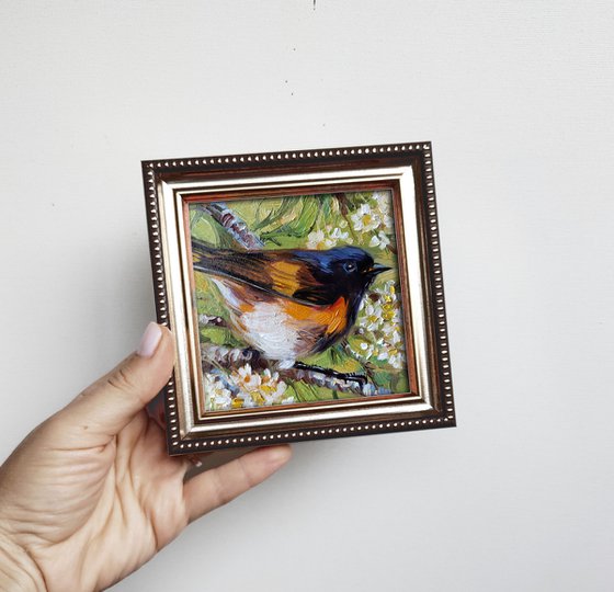 American redstart Bird mini oil painting original 4x4, Small frame art bird wall art on blossom branch Host gift