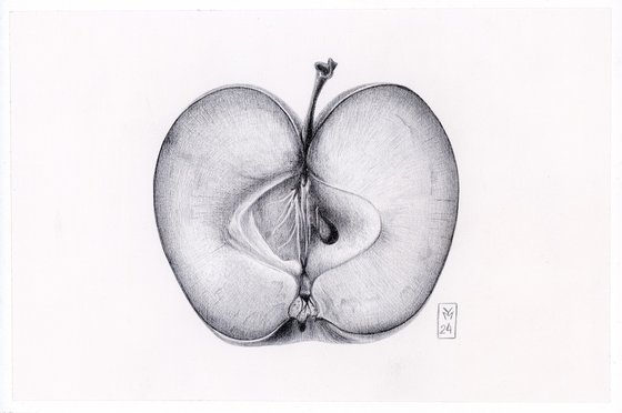 Apple Slice