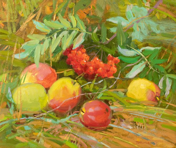 Wild apples