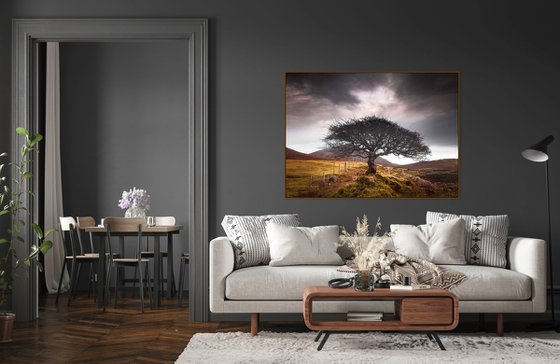 The One Tree, Isle of Skye