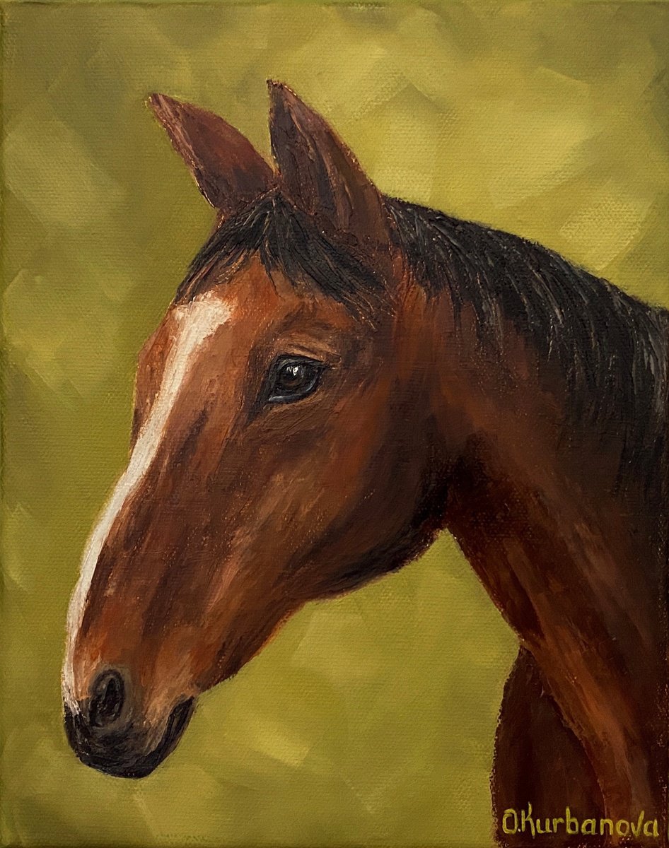 Impressionistic Animal Oil Painting By Olga Kurbanova, 8 X 10", Horse, Original Artwork