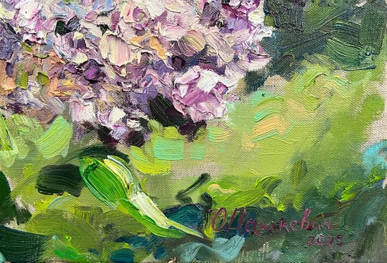 A lilac in the garden