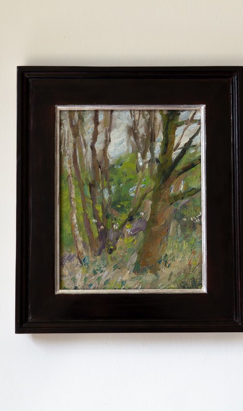 Forest by Anastasia Borodina