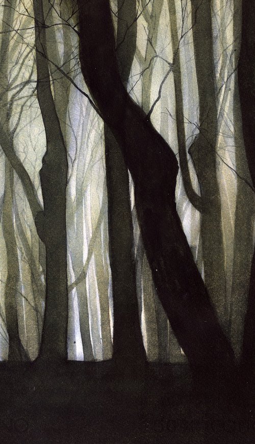 Forest in fog II by REME Jr.