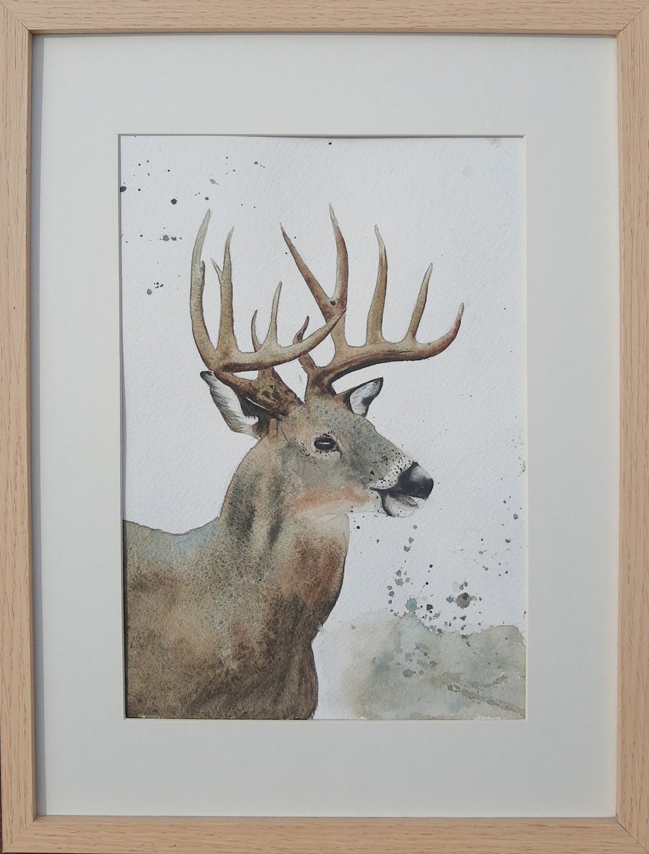 Deer. Deer antlers. Horn by Yuliia Sharapova